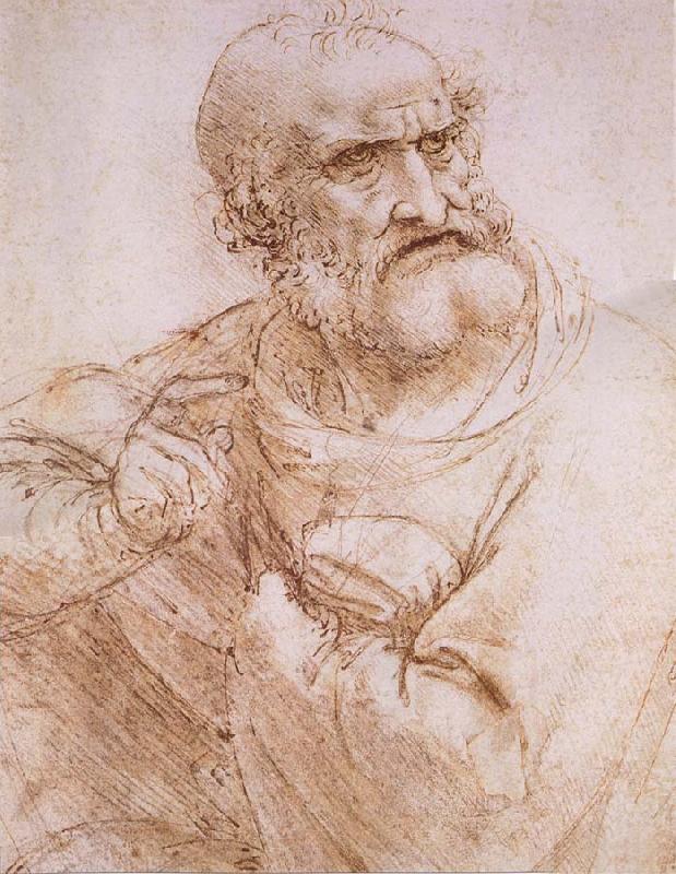 LEONARDO da Vinci Study of an apostle oil painting picture